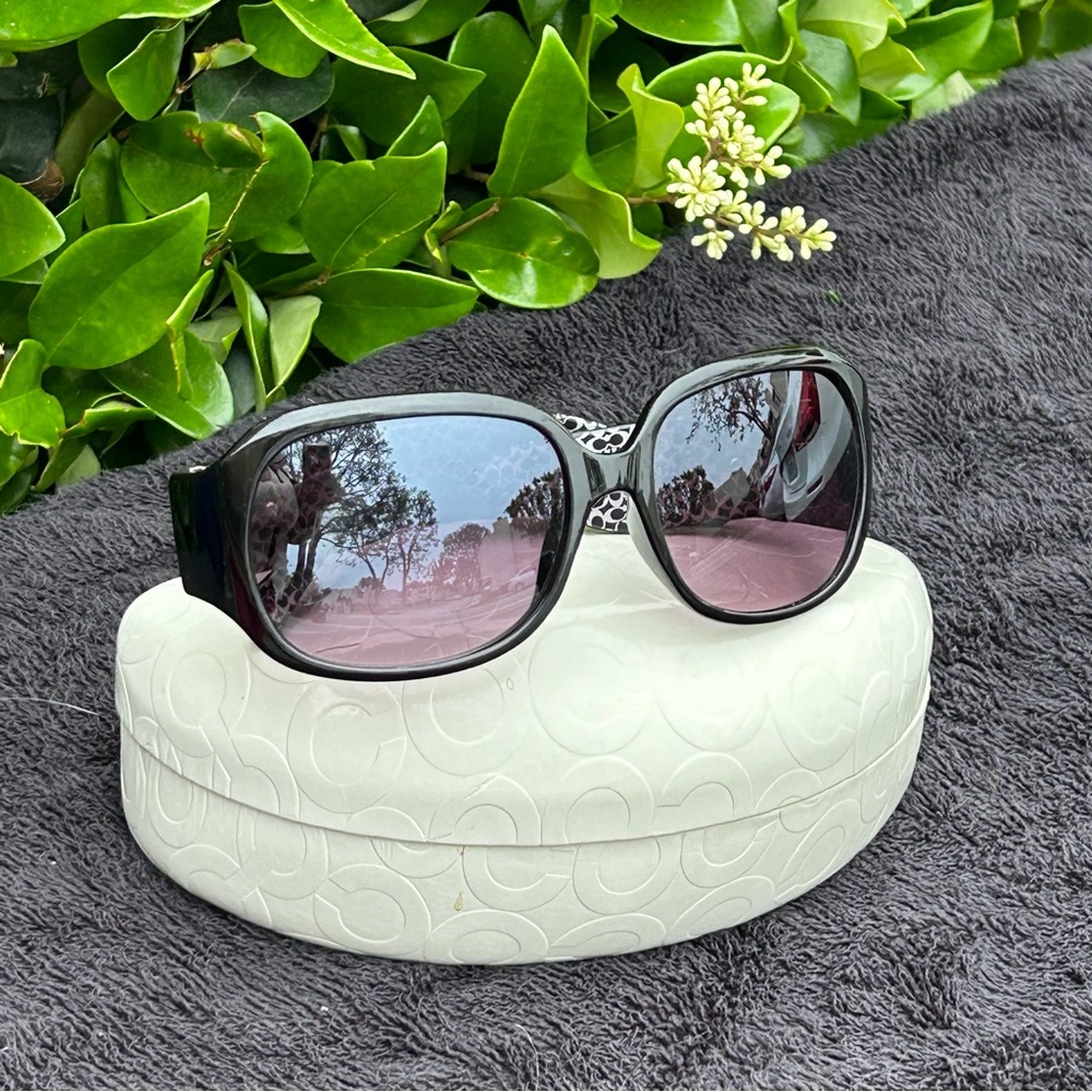 Stylish Black Sunglasses
